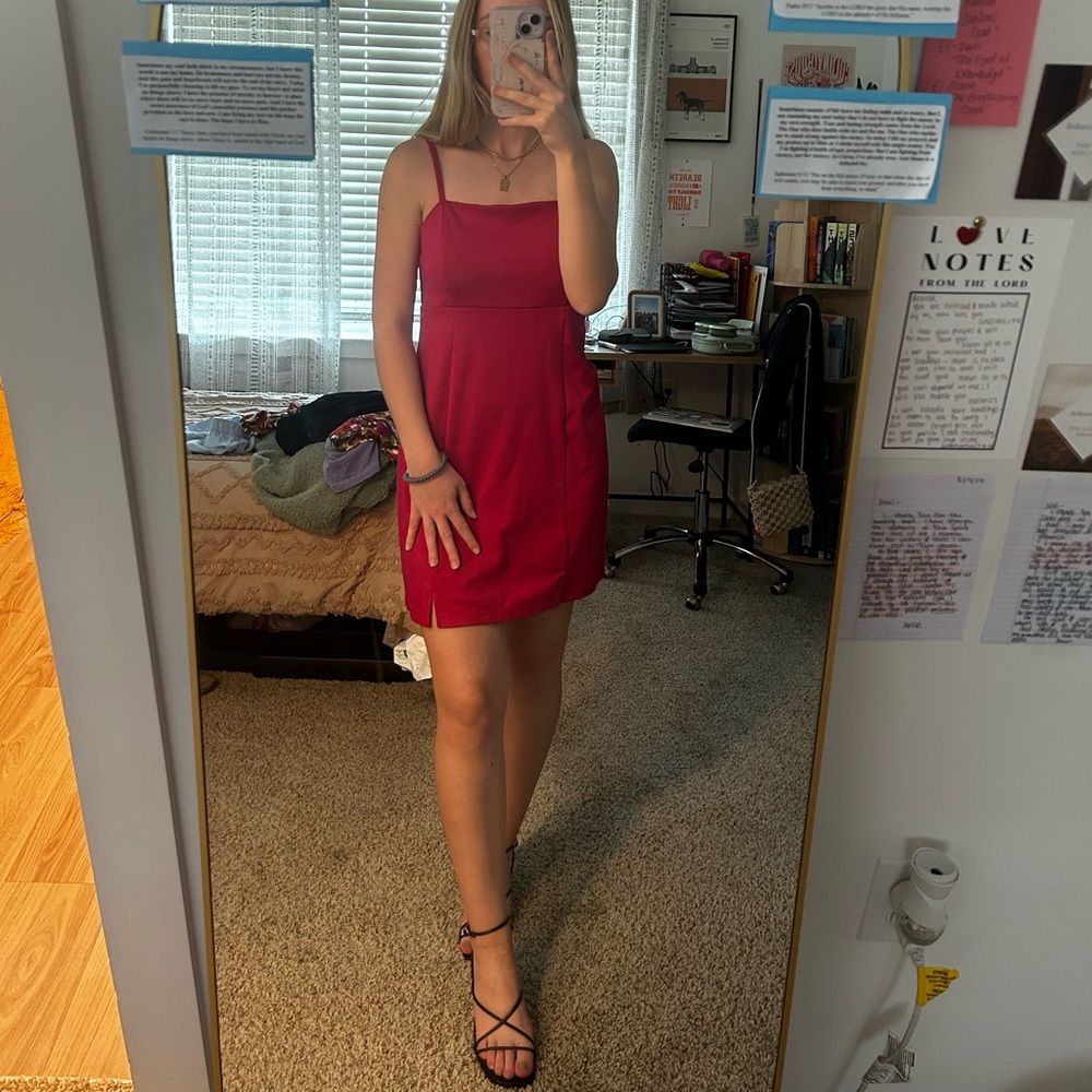 Wild Fable Mini Red Dress
